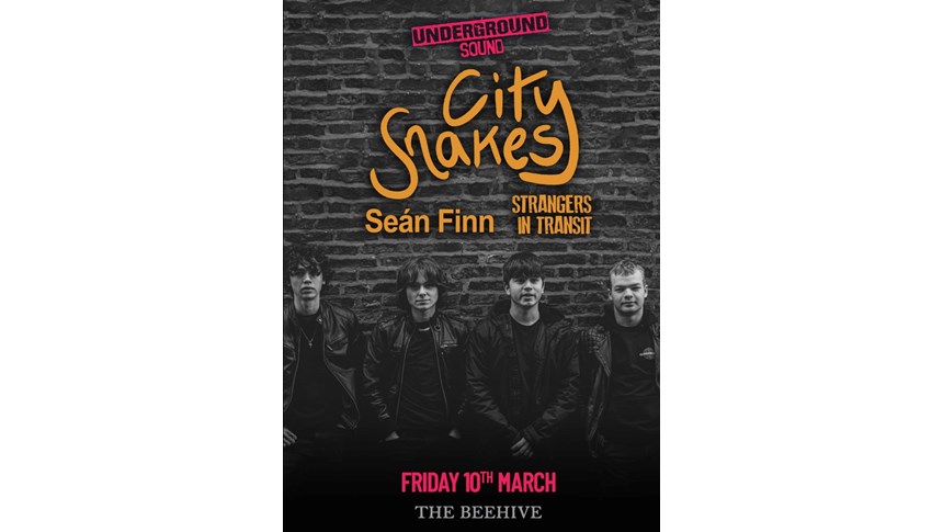 Seán Finn supports City Snakes at The Beehive next Friday 10th March 